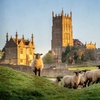 Image 4: 7 Days Cotswold Countryside Adventure Shared Tour