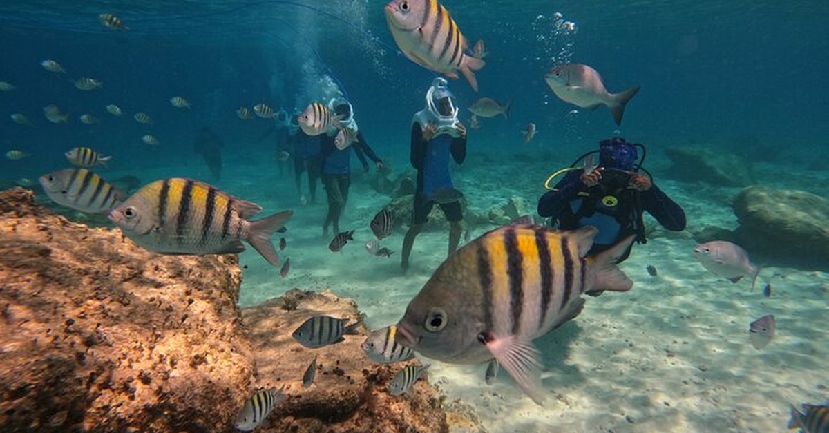 Paseo submarino Sea Trek en Tenerife