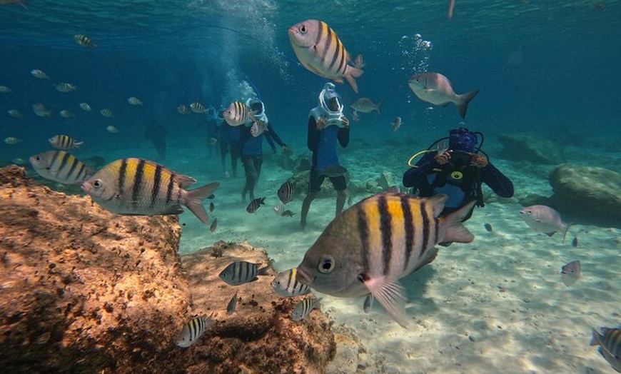 Image 3: Paseo submarino Sea Trek en Tenerife – No se requiere natación