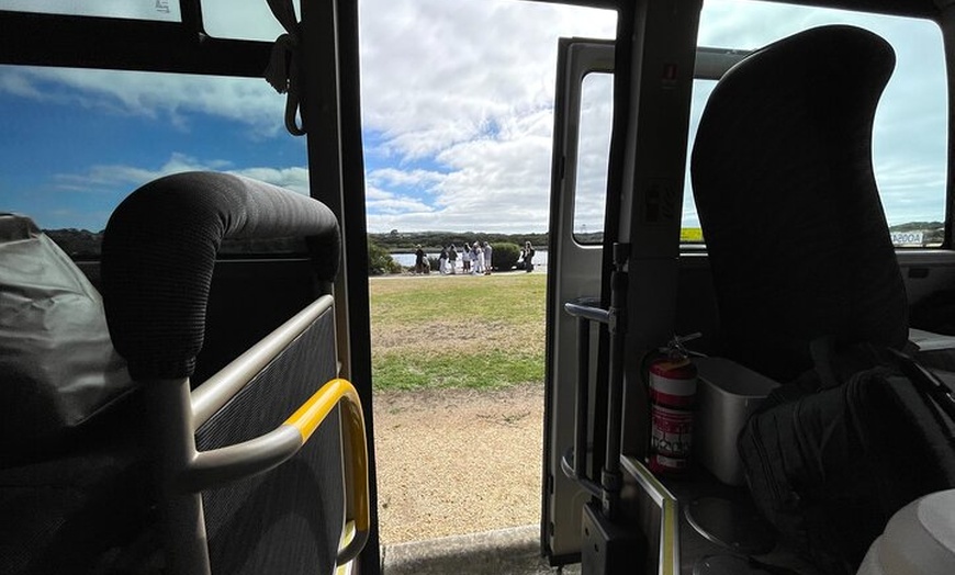 Image 8: Melbourne: Great Ocean Road & Iconic Coastal Views Day Tour