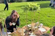 High Tea In The Park - Second Medium