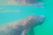 3-Hour Clear Kayak Beach Hopping Adventure in Sarasota - Second Medium