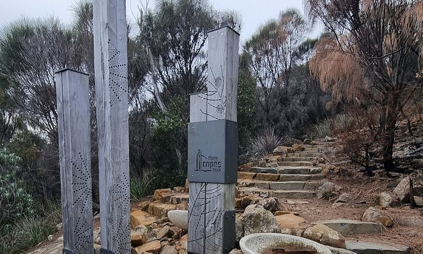 Image 6: Hobart: Cape Hauy Adventure Hike - rugged cliffs & wild beauty