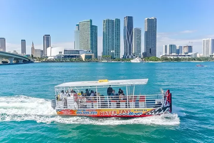 Miami City Half-Day Bus Tour with Optional Cruise