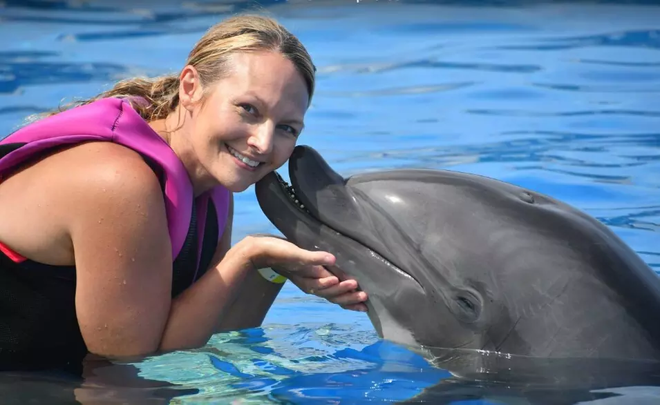 $89.99 For A Dolphin Encounter (Reg. $179.99)