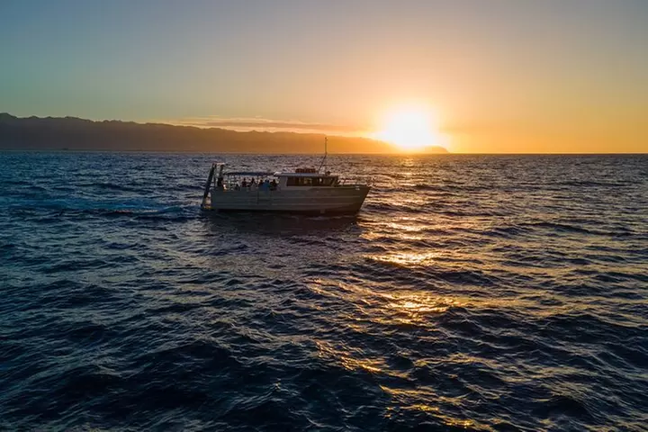 Whale Watching on "The World Famous North Shore of Oahu", Hawaii - Primary Image
