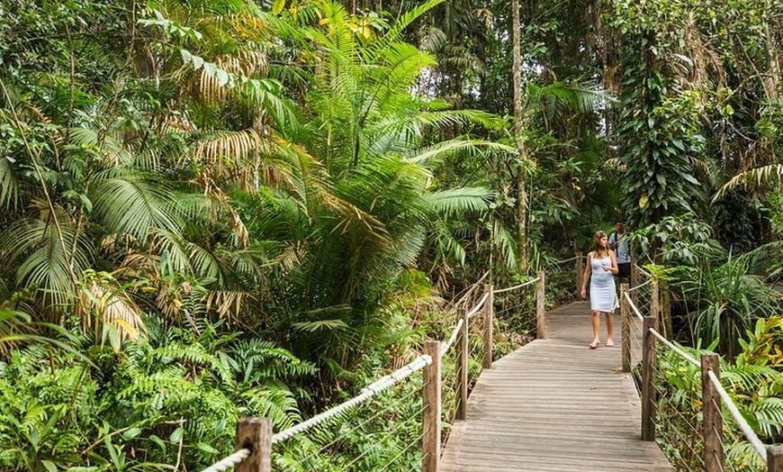 Image 26: Kuranda Scenic Railway Day Trip from Cairns