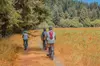 4 Hour Redwood National and State Park E Bike Adventure