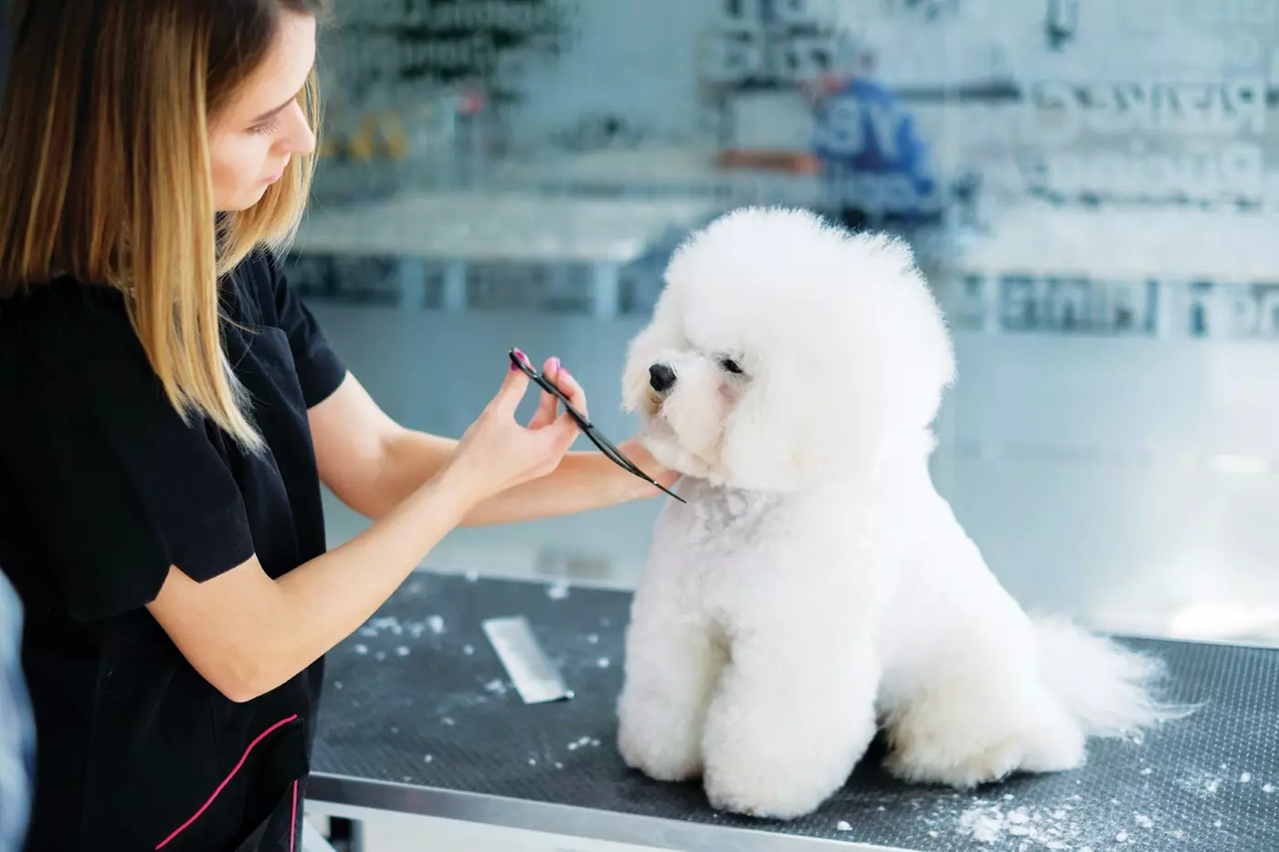$25 For $50 Toward Dog Or Cat Grooming Services - Primary Image