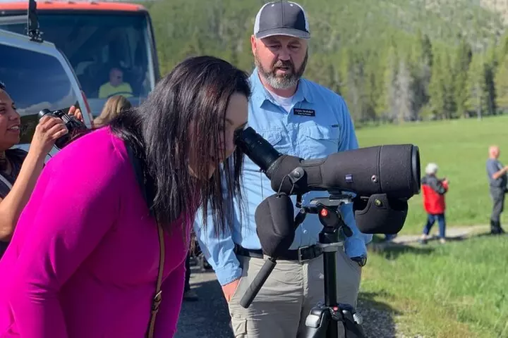 Private Yellowstone Wildlife Sightseeing Tour - Primary Image