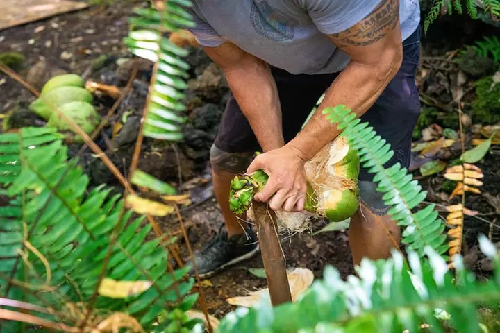 Polynesian Cultural ATV Tour