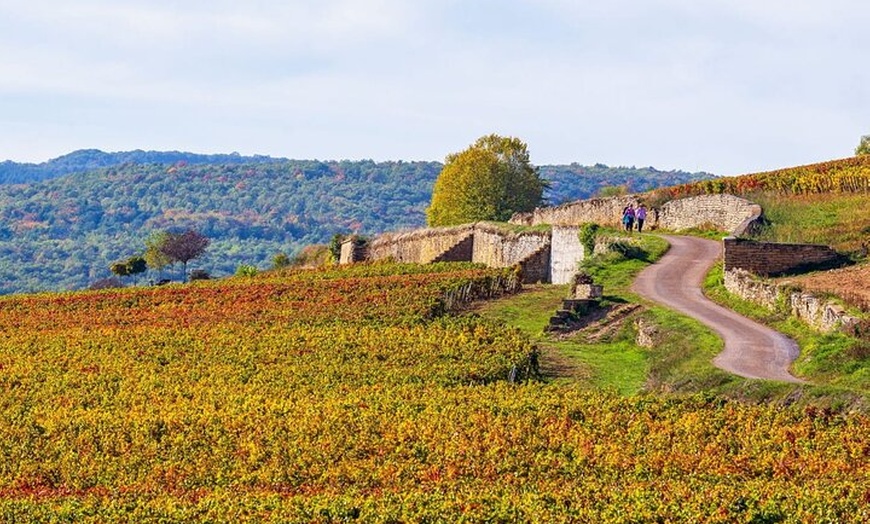 Image 8: Visite guidée privée de Beaune: Explorez le cœur de la Bourgogne