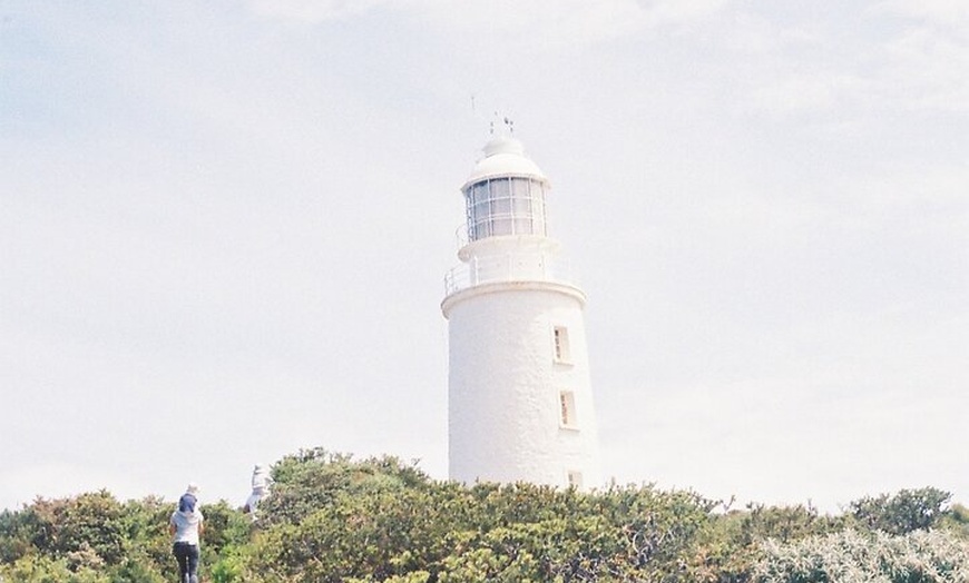 Image 12: 5 Day Island Icons Tassie Day Tour Bundle
