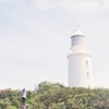 Image 12: 5 Day Island Icons Tassie Day Tour Bundle