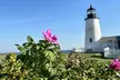 The Maine Experience: Coast, Culture & History - Second Medium