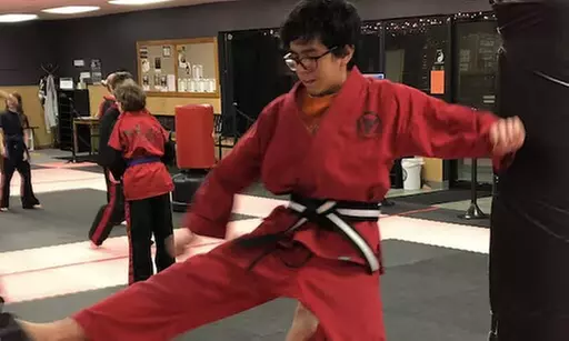 $24 For 4 Weeks of Beginner Karate (Reg. $49)