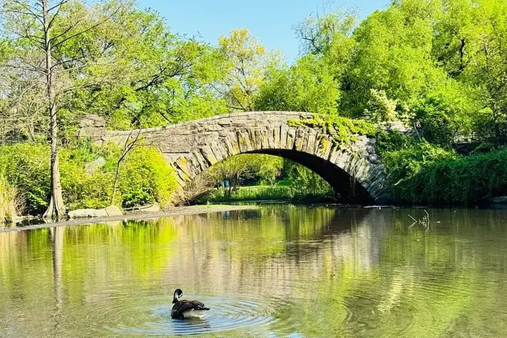 Central Park Pedicab Guided Tours