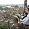 Image 2: Ticket Torre Campanario Mezquita Catedral de Córdoba