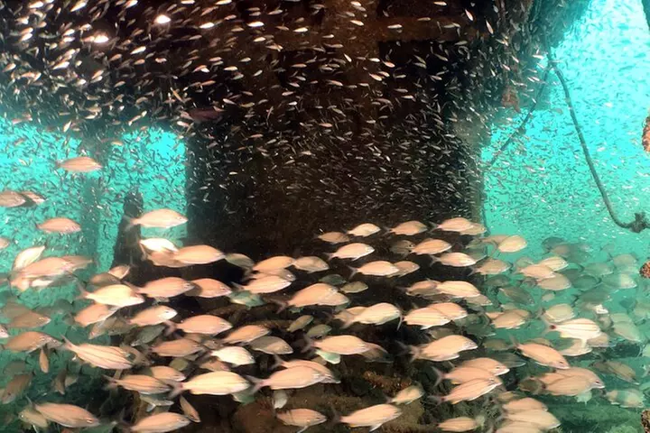 Wreck and Bridge Span Dive for Certified Divers