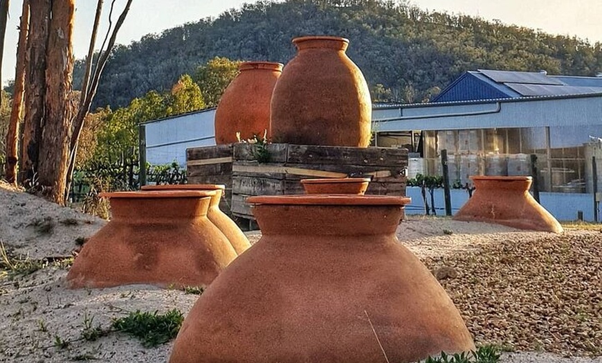 Image 7: Casual Wine Tasting