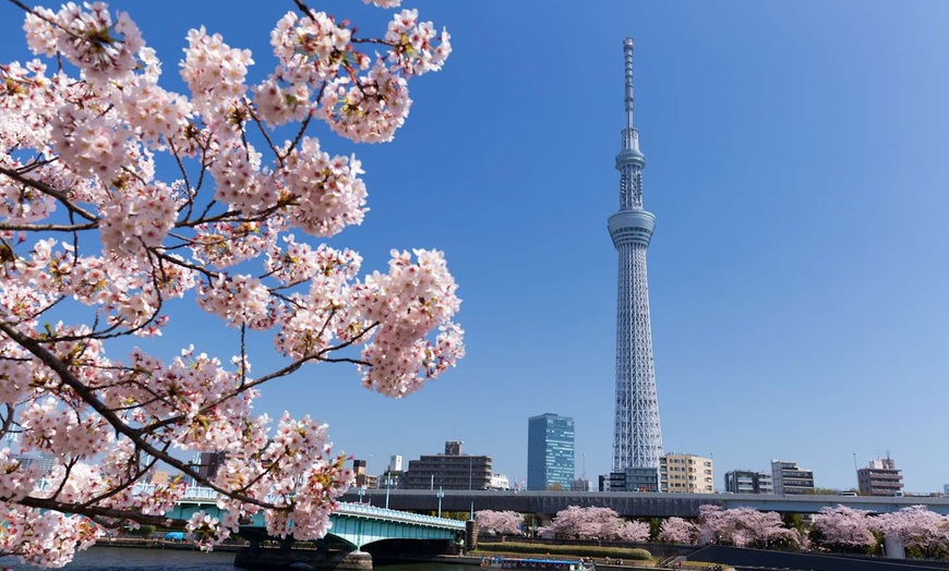 Image 6: ✈ JAPON | De Tokyo à Osaka - Combiné Tokyo - Osaka en 3* - Combiné