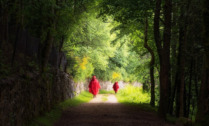 Image 5: Camino de Santiago Portugués Premium de Tui a Santiago