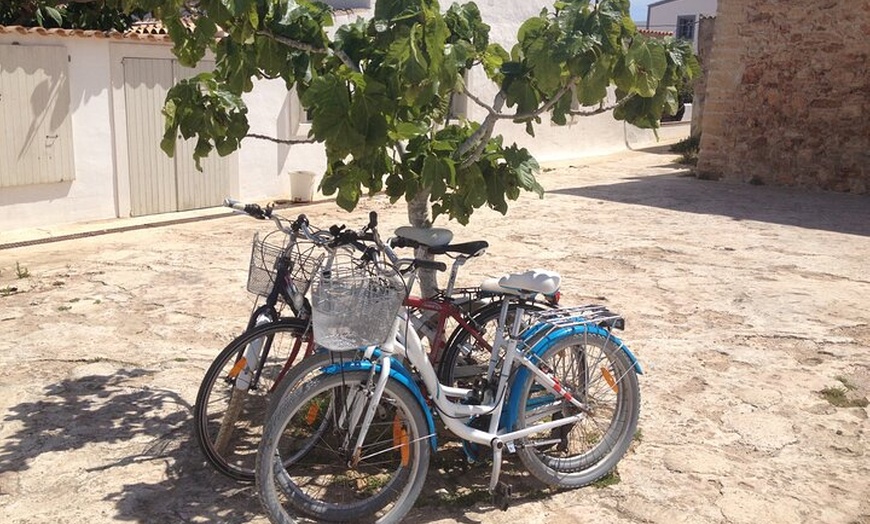Image 7: Ibiza Excursión a Formentera en Bici con Traslado y Fast Ferry