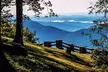 Full Day Tour from Atlanta to Amicalola Falls and Blue Ridge - Second Medium