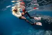 Snorkel with Turtles and Free Underwater Photos Lahaina - Second Medium