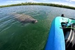 Lido Key Pedal Kayak Tour in Sarasota - Second Medium