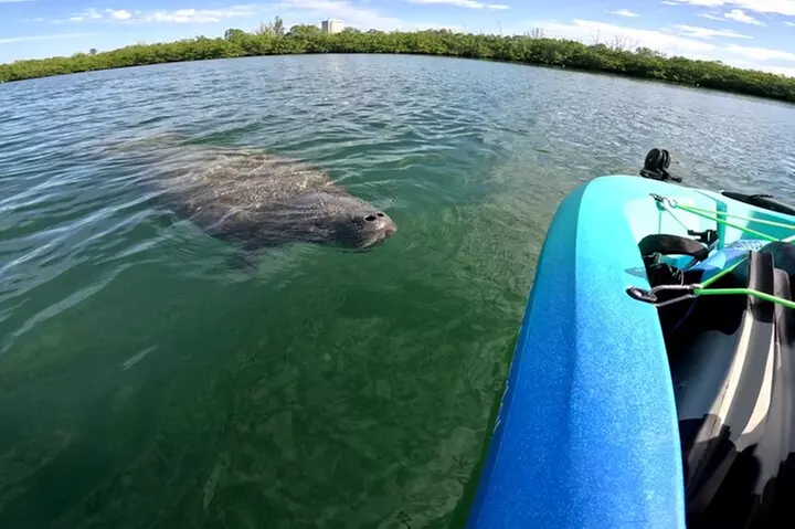 Lido Key Pedal Kayak Tour in Sarasota