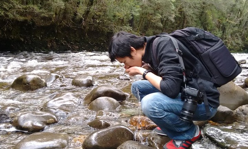 Image 4: 5-Day Best of Tasmania Tour from Hobart