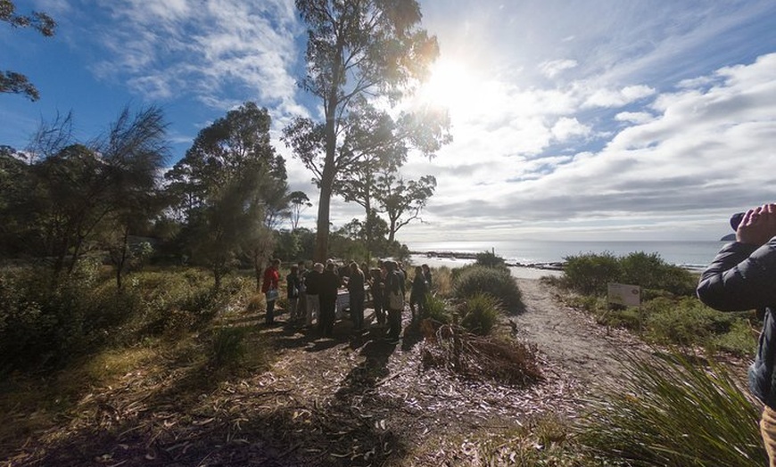 Image 20: Bruny Island Food, Sightseeing, Guided Lighthouse Tour & Lunch