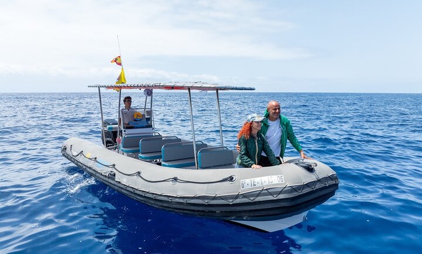 Image 14: Tour Privado 2 horas para ver ballenas y delfines en Tenerife