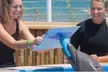 $89.99 For A Dolphin Encounter (Reg. $179.99) - Second Medium