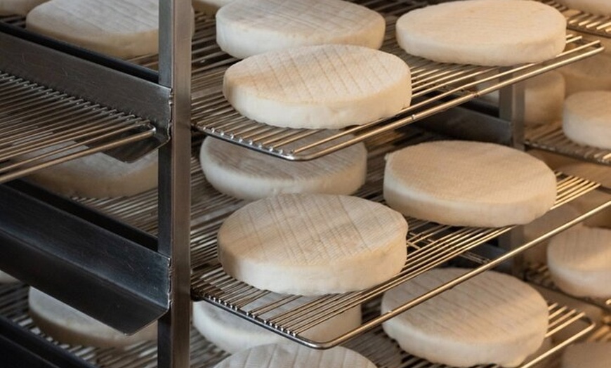 Image 9: HUNTER VALLEY CHEESEBOARD TASTING - select your favourite cheeses