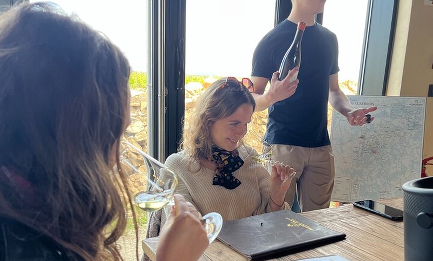 Image 7: Excursion privée d'une journée à Chablis et aux vins de Bourgogne a...