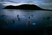 Bio Bay Swimming Experience with Boat Transport from La Parguera - Second Medium