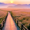 Image 16: ✈ COREA DEL SUD | Seul - Alla scoperta di Suncheon, 8 notti - Tour