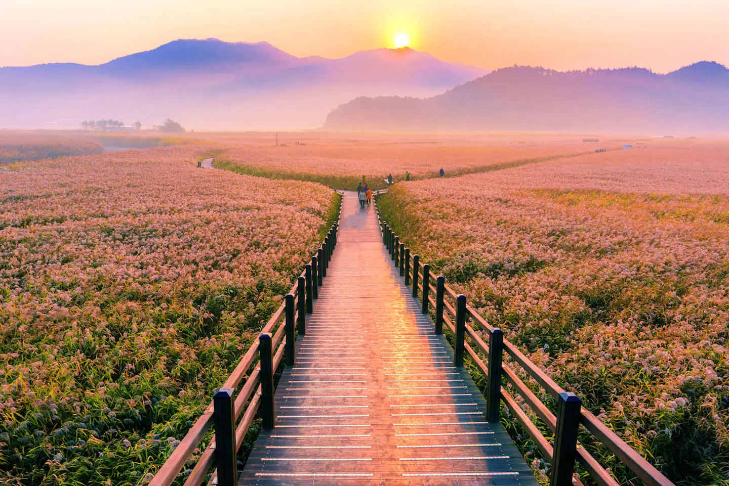 ✈ SÜDKOREA | Seoul - Entdeckung von Suncheon, 8 Nächte - Rundreise