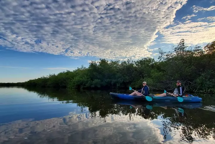Thousand Islands Mangrove Tunnel Kayak Tour with Cocoa Kayaking!