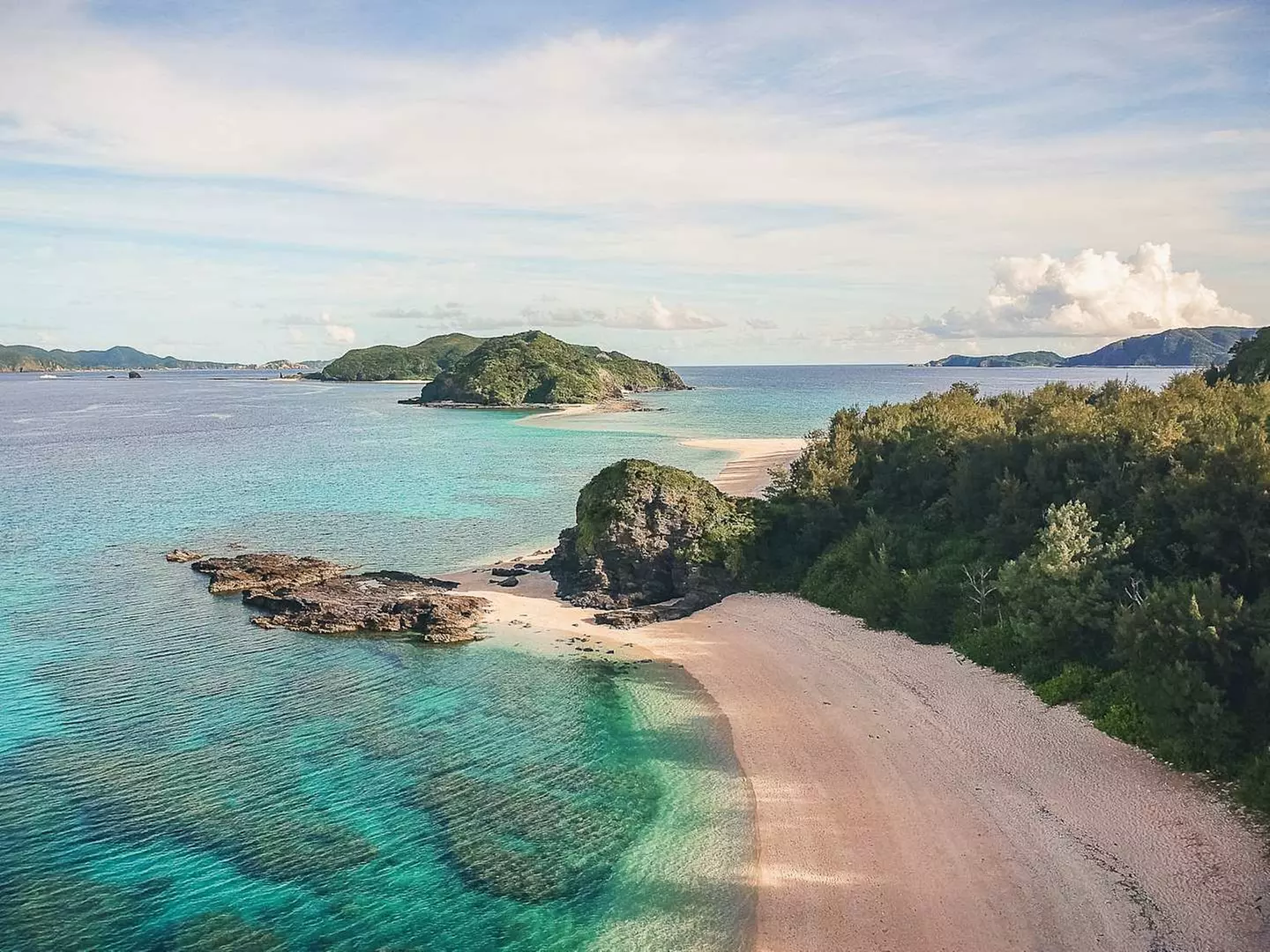 ✈ GIAPPONE | Da Tokyo a Osaka - Paradiso Giapponese: Tokyo, Kyoto, ...