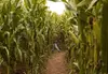 $20 for $40 worth of 4 Admissions to the Regular Corn Maze 2025 Season