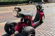 DownTown Houston Premium Trike 2 Seater Self Guided Tour - Second Medium