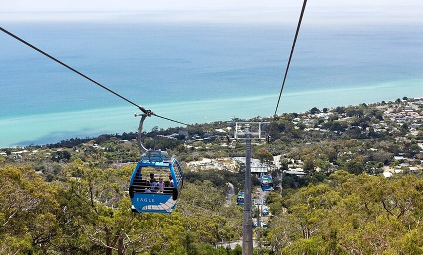 Image 14: Melbourne: Private Mornington Peninsula & Winery Tours.