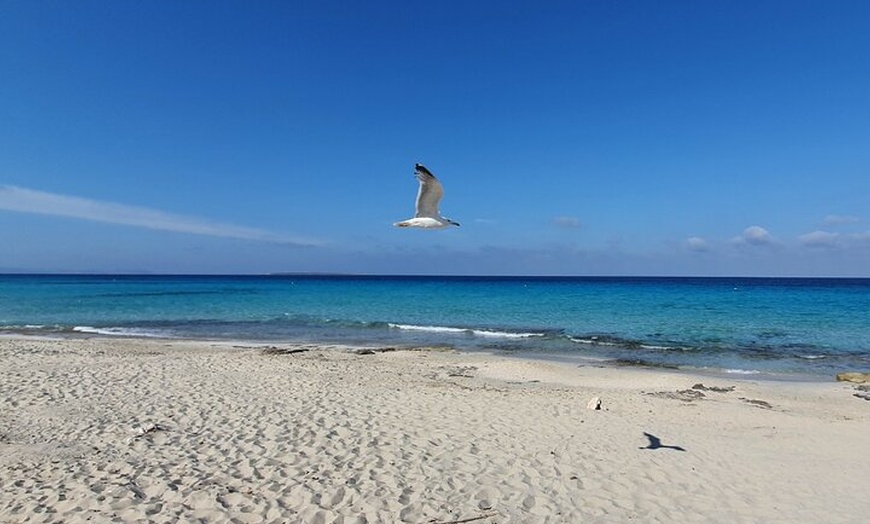 Image 11: Traslados en ferry eléctrico entre Ibiza y Formentera