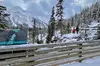Lake Louise, Moraine Lake, Canyon and Yoho