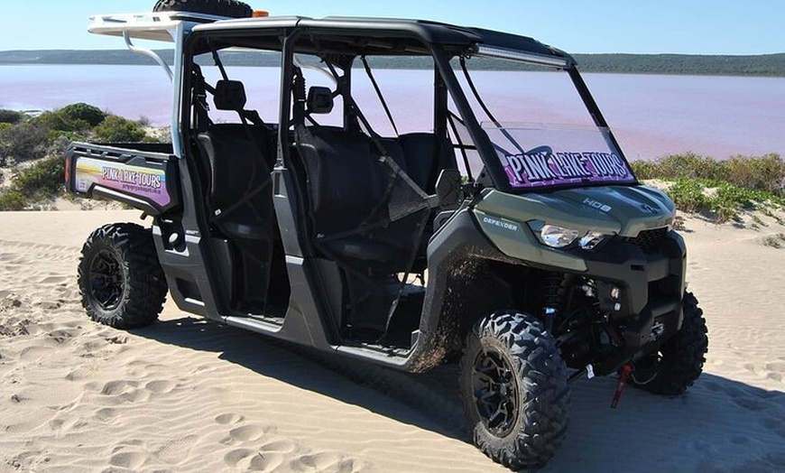 Image 1: Pink Lake Small-Group Buggy Tour