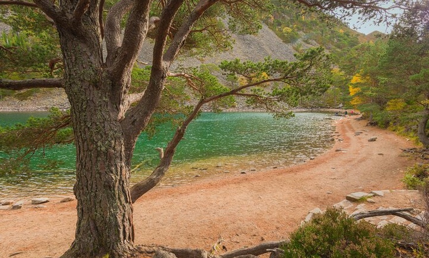 Image 6: Scottish Highlands Walking Small Group Tour from Edinburgh