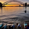 Image 12: Sunrise Serenity Kayak Tour of Sydney Harbour